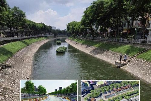 Muốn 'hồi sinh' sông Tô Lịch, phải trả lại dòng chảy môi trường