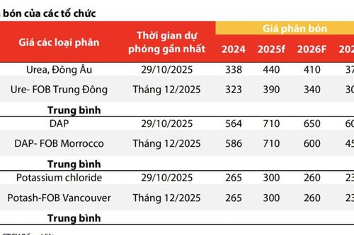Ngược chiều thế giới, dự báo giá phân bón trong nước tăng nhẹ trong năm 2026