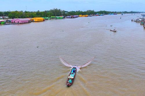 Ủi dồn bắt cá linh