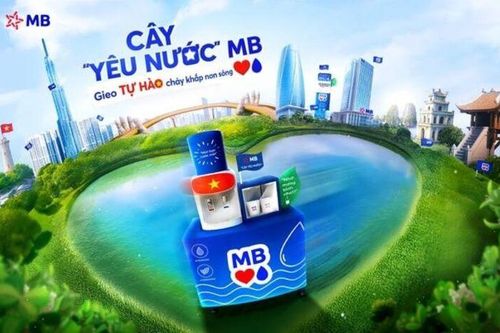 'Cây yêu nước' phủ xanh hơn 300 chi nhánh MB: Gieo tự hào chảy khắp non sông