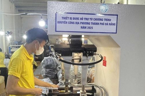 Đưa quế Trà My tham gia chuỗi sản xuất xanh