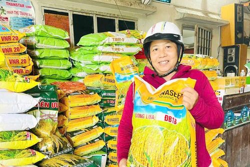 Kiểm soát thị trường vật tư nông nghiệp thiết yếu