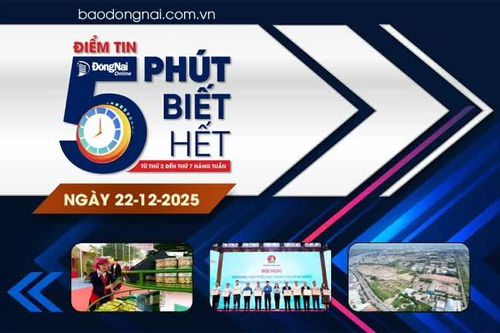 Điểm tin '5 phút biết hết' sáng 22-12: Khu công nghiệp Biên Hòa 1 đã có 88% đất sạch tại khu vực ưu tiên