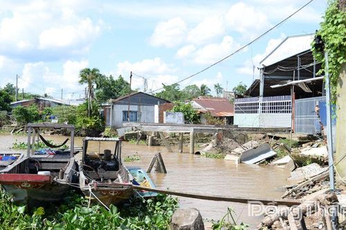 Đồng Tháp: Đầu tư 252 tỷ đồng xử lý sạt lở đê ven sông Tiền tại xã An Hữu