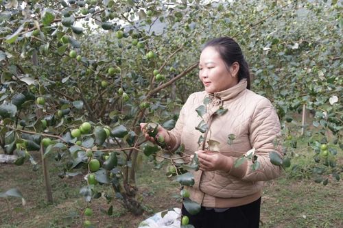 Xuân Dương vượt khó