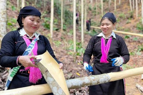 Phong Hải: Nhiều giải pháp nâng cao thu nhập cho người dân