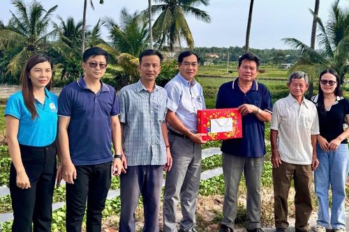 Các HTX nhanh chóng khôi phục sau lũ