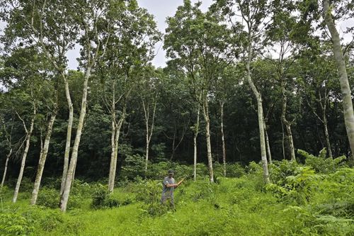Phát triển kinh tế từ tài nguyên bản địa