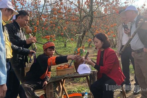 Xã Minh Tân học tập kinh nghiệm phát triển kinh tế, du lịch cộng đồng tại tỉnh Sơn La