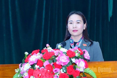 Phó Bí thư Thường trực Đảng ủy UBND tỉnh Nông Thị Bích Huệ tiếp xúc cử tri xã Lâm Bình