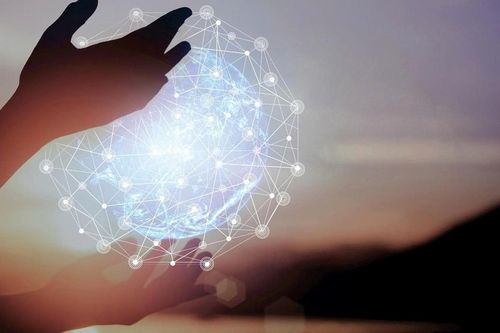 Nghiệp kỹ thuật số và những lối mòn trong tâm thức