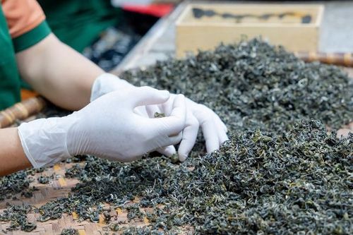 Tự tin chinh phục thị trường bằng năng suất chất lượng