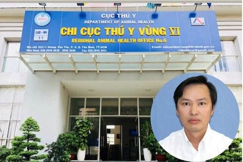 Truy tố loạt bị can trong vụ buôn lậu hơn 1.800 tỷ đồng tại Chi cục Thú y Vùng VI