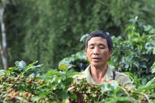 Điện Biên: Nông nghiệp công nghệ cao giúp đồng bào thoát nghèo bền vững