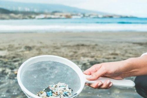 Hành trình pháp lý bảo vệ hệ sinh thái và con người