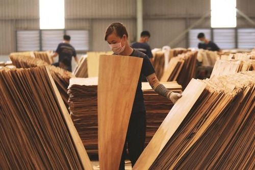 Ra mắt nhãn hiệu chứng nhận 'Gỗ Việt Nam/Vietnam Wood'