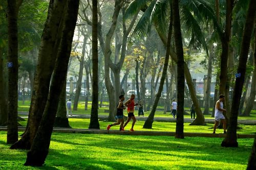Để Hà Nội có thêm không gian xanh