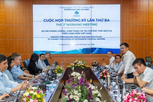 Quảng Ninh đẩy mạnh hội nhập quốc tế trong giáo dục và đào tạo