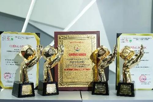 VinFast giành 'bộ tứ' giải thưởng danh giá tại Vạn Xuân Awards 2025