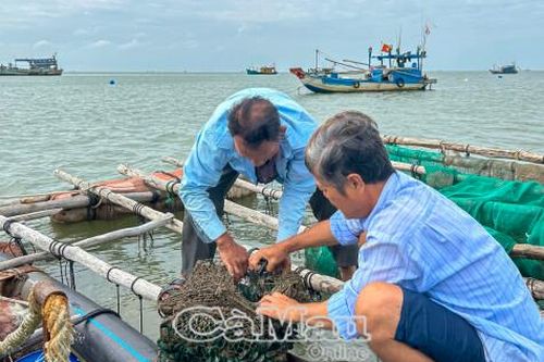Giữ màu xanh biển cả, vun bồi sinh kế bền vững