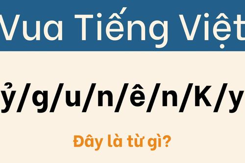 Ai mới đủ trình để trở thành 'vua tiếng Việt'?
