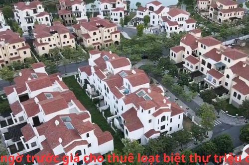 Hà Nội: Bất ngờ trước giá cho thuê loạt biệt thự triệu đô tại các xã Hoài Đức, An Khánh, Dương Hòa và Sơn Đồng