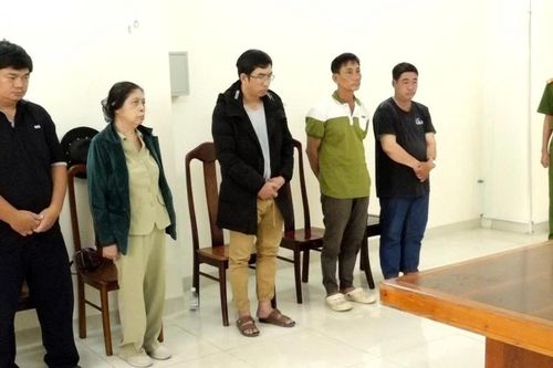 Khánh Hòa: Khởi tố 5 đối tượng liên quan vụ người đàn ông tử vong trên đường dây điện trung thế