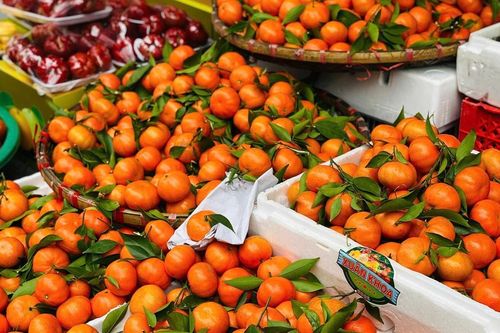 Tiểu thương 'tiết lộ' nguồn gốc thực sự của một loại cam đang bán tràn ngập chợ Việt