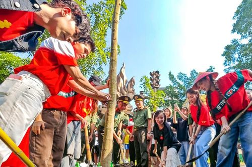 Tết trồng cây Xuân Bính Ngọ 2026: Hà Nội nói không với hình thức, ưu tiên chất lượng
