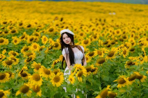Ken đặc 'nàng thơ' tại cánh đồng hoa hướng dương hot nhất Nghệ An