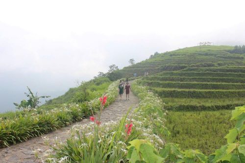 Vì sao Việt Nam lọt top 20 điểm đến 'trốn rét' lý tưởng nhất thế giới?