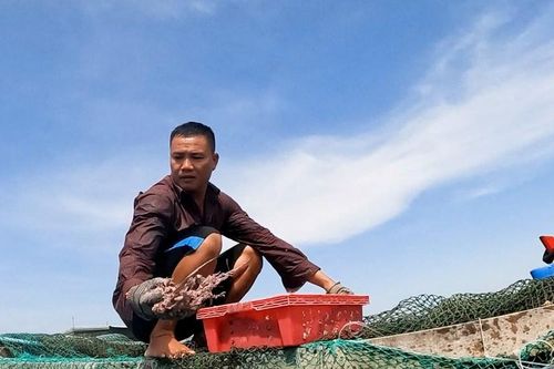 Cảnh báo bão sớm - 'lá chắn' bảo vệ sinh kế của người dân