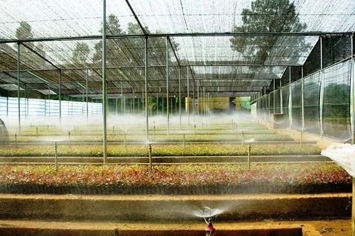 Ứng dụng công nghệ để bảo đảm nguồn nguyên liệu giấy bền vững