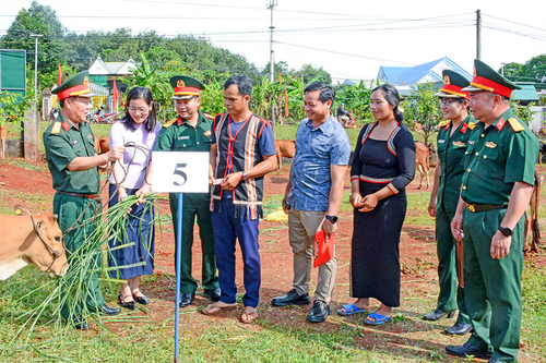 Đoàn Kinh tế - Quốc phòng 72 (Binh đoàn 15): Xây dựng 'lá chắn lòng dân' trên biên giới Gia Lai
