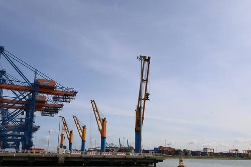TPHCM: Xem xét ban hành nghị quyết mới về thu phí hạ tầng cảng biển
