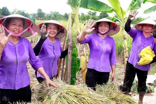 Bài 3: Từ 'đất chết' đến hệ sinh thái triệu đô