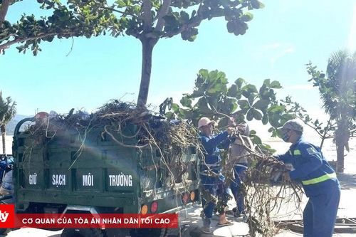 Đà Nẵng xử lý rác sinh hoạt theo hướng hạn chế chôn lấp, ưu tiên công nghệ