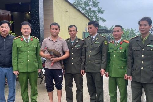 Thực hư thông tin người đàn ông bắt được gà lôi trắng trong rừng, nộp cho kiểm lâm