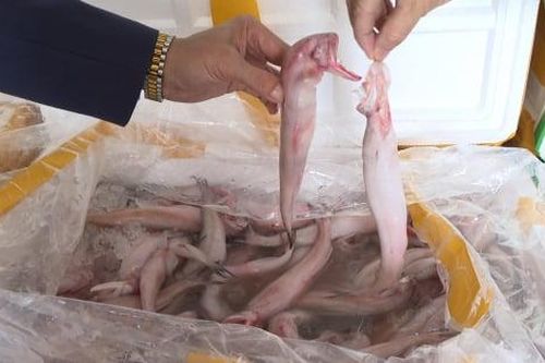 Ăn cá khoai 'tẩm' formol nguy hiểm như thế nào?