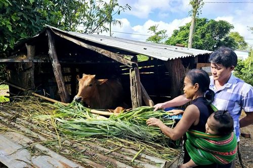 Những cách làm hiệu quả giúp giảm nghèo bền vững ở xã Ea Ning