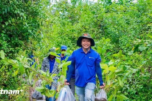 Phủ xanh vùng đệm Tà Đùng, hướng tới phát triển rừng vì cộng đồng