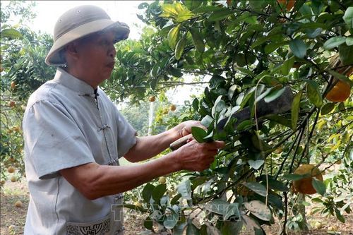 Câu chuyện đẹp về nghị lực và tinh thần cống hiến