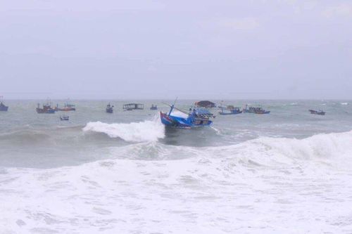 Từ Quảng Ninh đến An Giang chủ động ứng phó với gió mạnh trên biển