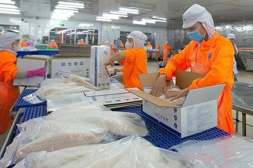 Phó Tổng Giám đốc Nam Việt muốn bán cổ phiếu