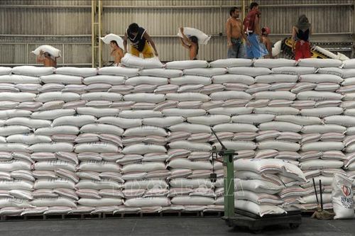 Gạo dự trữ của Indonesia dự kiến đạt kỷ lục trong năm 2025