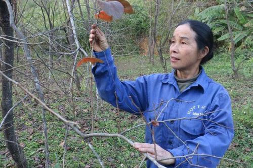 Nhiều cách làm sáng tạo, hiệu quả trong giảm nghèo ở xứ Lạng