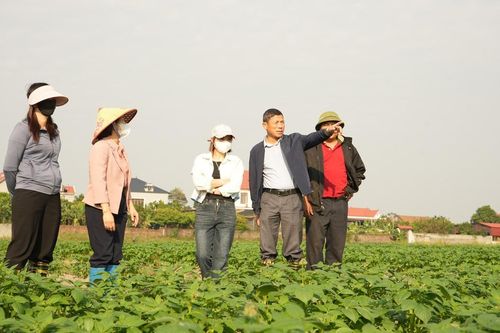 Phát huy vai trò của phụ nữ trong công tác giảm nghèo bền vững
