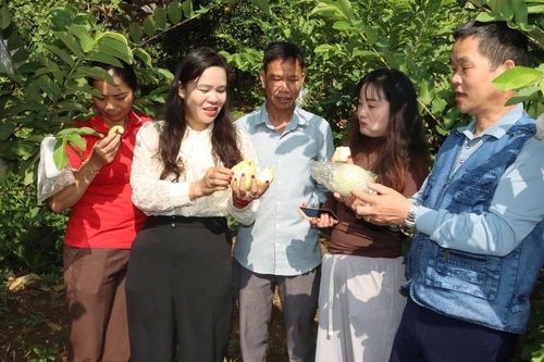 Bước chuyển trong công tác giảm nghèo ở Gia Phù
