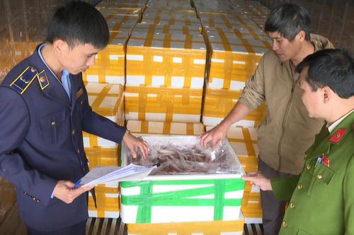 10 tấn cá khoai formol và 'vòng luẩn quẩn' thực phẩm độc