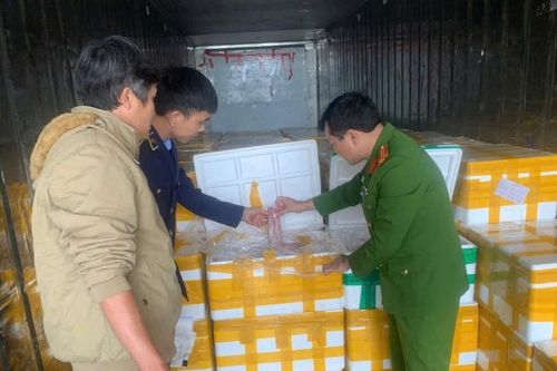Thu giữ hàng chục tấn cá chứa chất cấm cực độc đang trên đường đi tiêu thụ
